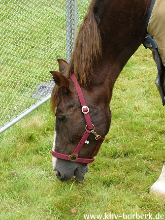 Bild 35 zur Veranstaltung Tiere auf dem Bauernhof 2009